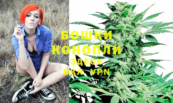 гидропоника Белоозёрский