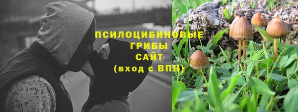 ПСИЛОЦИБИНОВЫЕ ГРИБЫ Беломорск